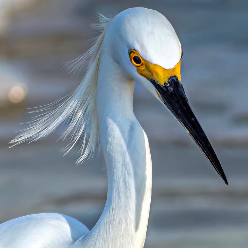 I'm ready for my close-up, are you?