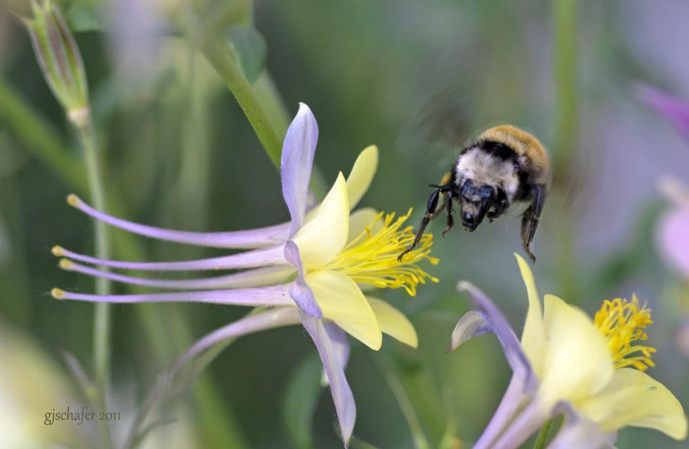 Cleared for Departure